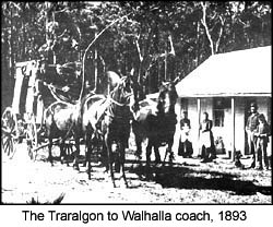 traralgon to walhalla coach 1893